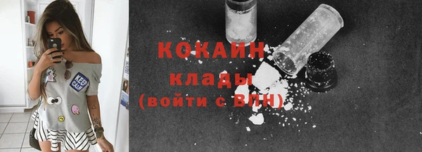 молекула духа Майский