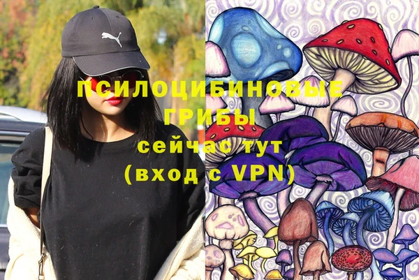 молекула духа Майский