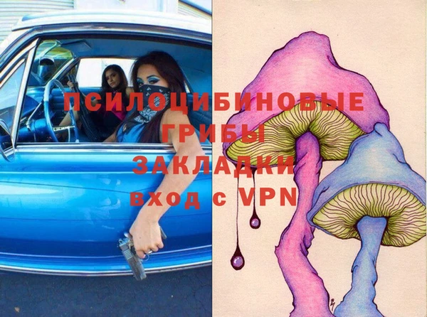 молекула духа Майский