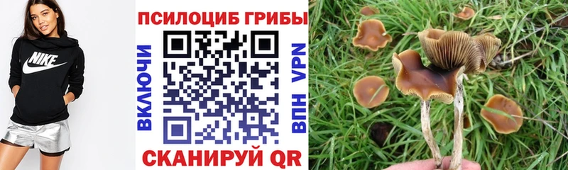 где найти наркотики  Тула  Галлюциногенные грибы MAGIC MUSHROOMS 